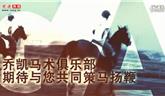 龍港馬場喬凱馬術俱樂部 休閑新選擇