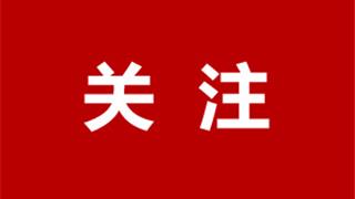 2025 ！12條龍港公交新線路公示！