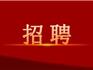 2023年龍港市線上設(shè)計專場招聘會